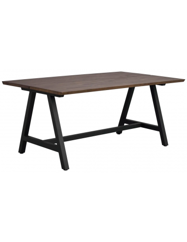 Rowico Carradale Spisebord Metal Egetræ 170 100 Sort Brun